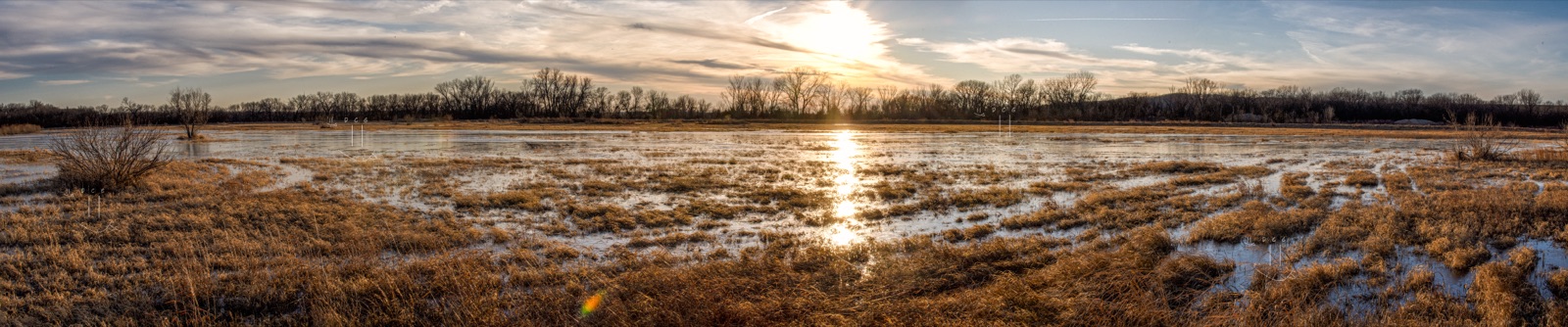 Flooded marshlands with tallgrass reflecting the bright sun